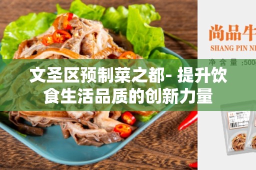 文圣区预制菜之都- 提升饮食生活品质的创新力量