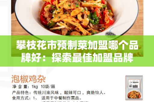 攀枝花市预制菜加盟哪个品牌好：探索最佳加盟品牌