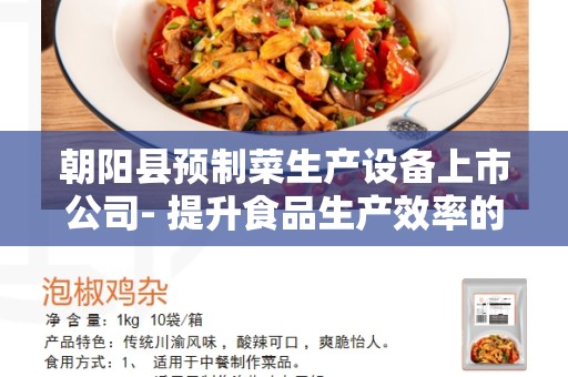 朝阳县预制菜生产设备上市公司- 提升食品生产效率的关键
