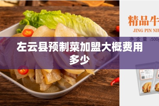 左云县预制菜加盟大概费用多少