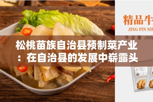 松桃苗族自治县预制菜产业：在自治县的发展中崭露头角