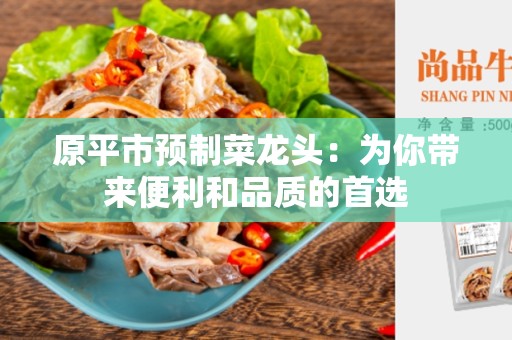 原平市预制菜龙头：为你带来便利和品质的首选
