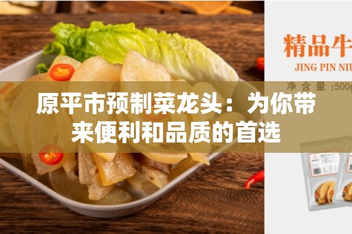 原平市预制菜龙头：为你带来便利和品质的首选