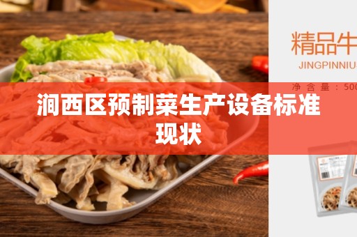 涧西区预制菜生产设备标准现状