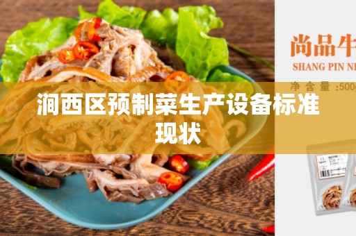 涧西区预制菜生产设备标准现状