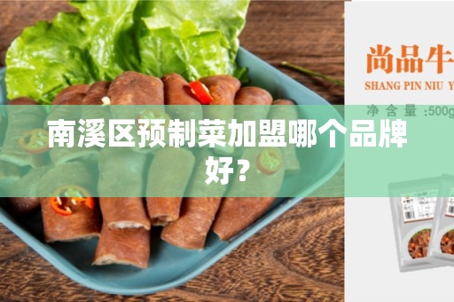 南溪区预制菜加盟哪个品牌好？