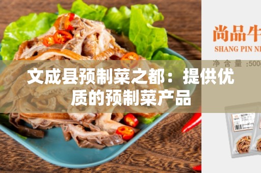文成县预制菜之都：提供优质的预制菜产品