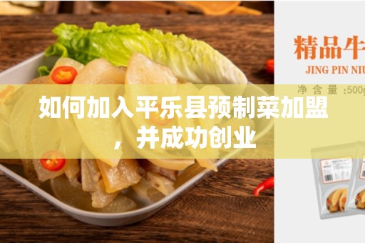 如何加入平乐县预制菜加盟，并成功创业