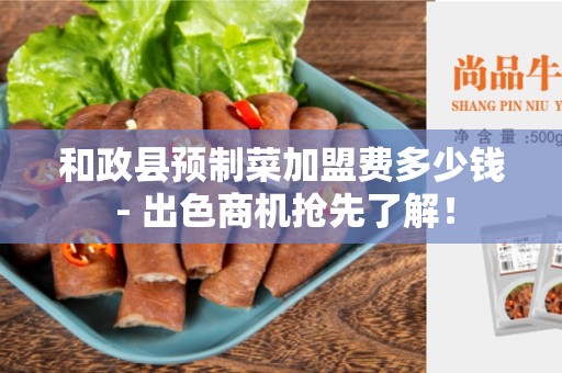 和政县预制菜加盟费多少钱 - 出色商机抢先了解！
