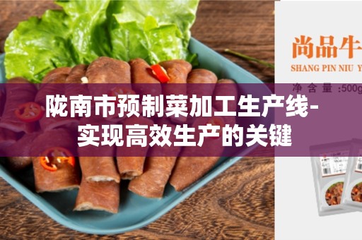 陇南市预制菜加工生产线- 实现高效生产的关键
