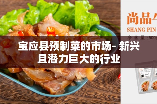 宝应县预制菜的市场- 新兴且潜力巨大的行业