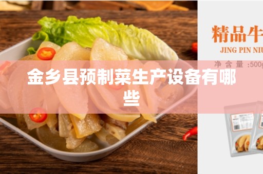 金乡县预制菜生产设备有哪些