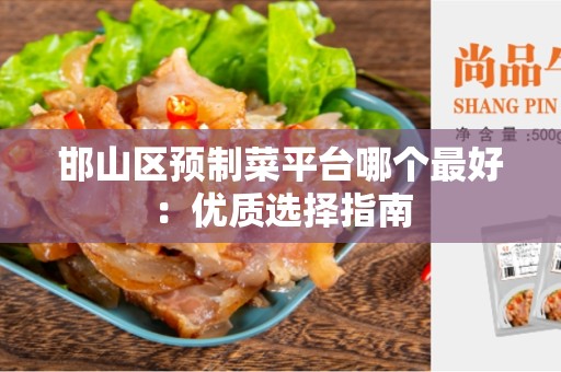 邯山区预制菜平台哪个最好：优质选择指南