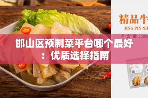 邯山区预制菜平台哪个最好：优质选择指南