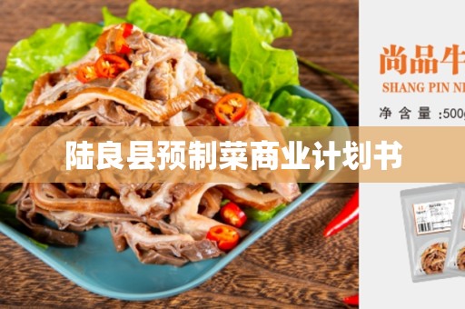 陆良县预制菜商业计划书