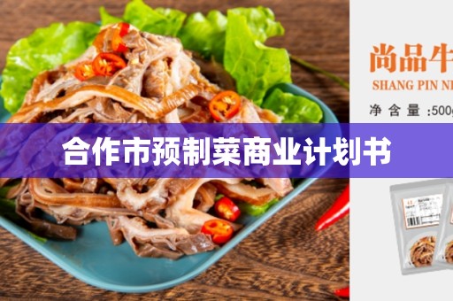 合作市预制菜商业计划书