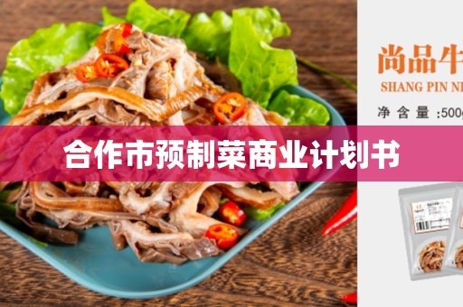合作市预制菜商业计划书