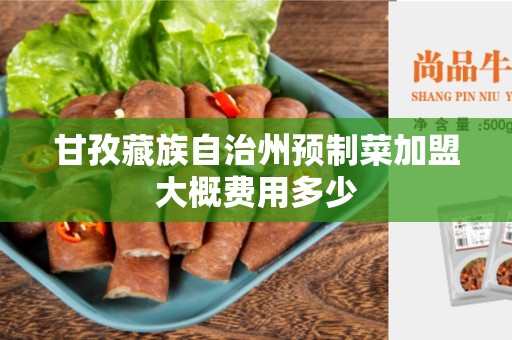 甘孜藏族自治州预制菜加盟大概费用多少