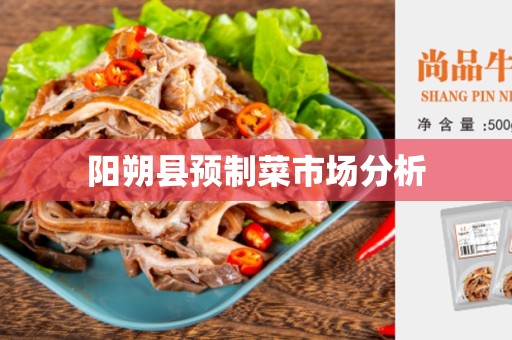 阳朔县预制菜市场分析
