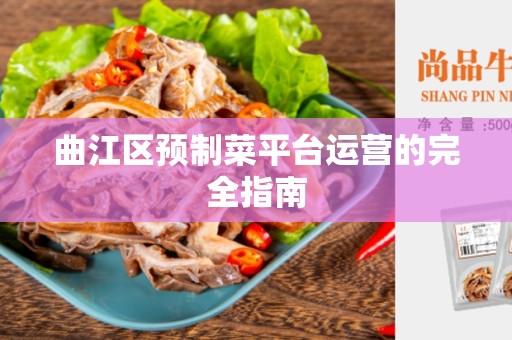 曲江区预制菜平台运营的完全指南