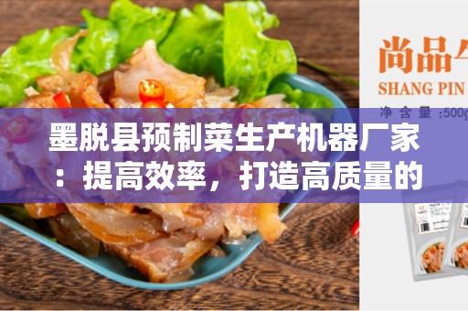 墨脱县预制菜生产机器厂家：提高效率，打造高质量的预制菜生产过程