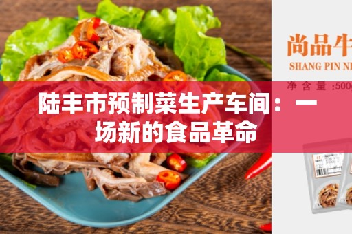 陆丰市预制菜生产车间：一场新的食品革命