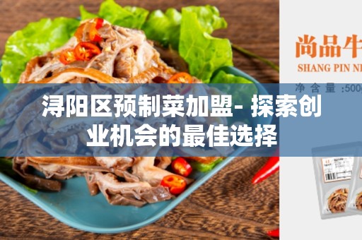 浔阳区预制菜加盟- 探索创业机会的最佳选择