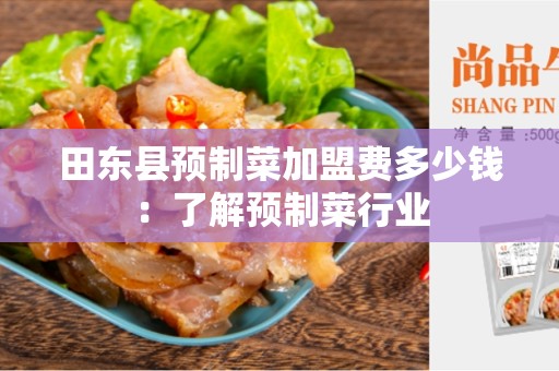 田东县预制菜加盟费多少钱：了解预制菜行业
