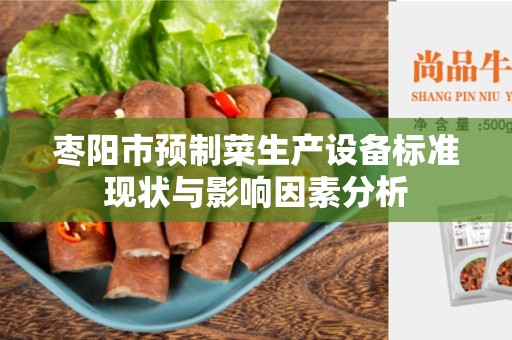 枣阳市预制菜生产设备标准现状与影响因素分析