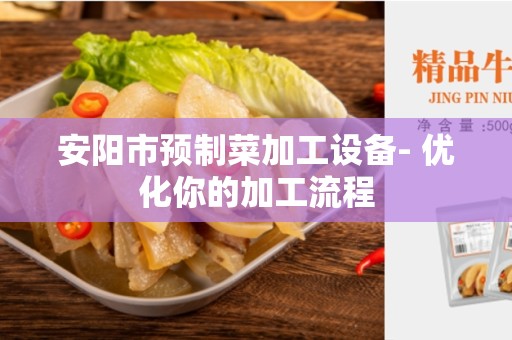 安阳市预制菜加工设备- 优化你的加工流程