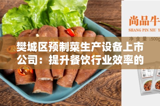 樊城区预制菜生产设备上市公司：提升餐饮行业效率的关键性工具