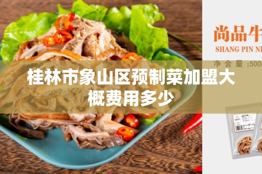 桂林市象山区预制菜加盟大概费用多少