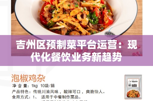 吉州区预制菜平台运营：现代化餐饮业务新趋势