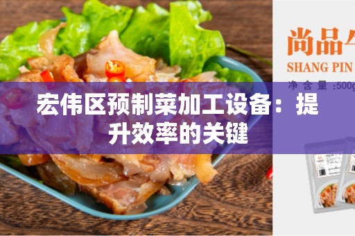 宏伟区预制菜加工设备：提升效率的关键