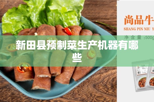 新田县预制菜生产机器有哪些