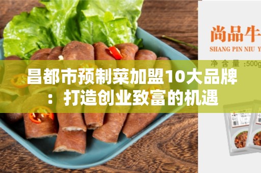 昌都市预制菜加盟10大品牌：打造创业致富的机遇