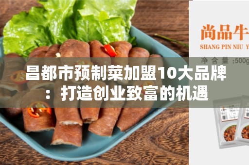 昌都市预制菜加盟10大品牌：打造创业致富的机遇