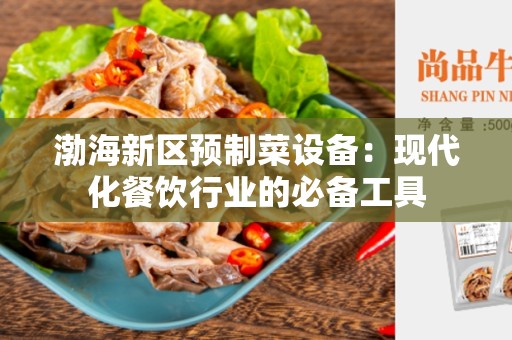 渤海新区预制菜设备：现代化餐饮行业的必备工具