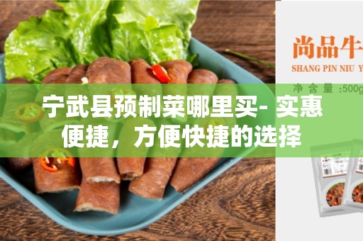宁武县预制菜哪里买- 实惠便捷，方便快捷的选择