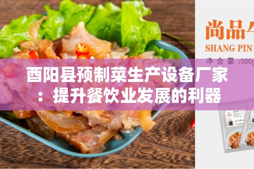 酉阳县预制菜生产设备厂家：提升餐饮业发展的利器