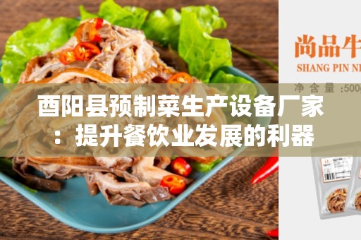 酉阳县预制菜生产设备厂家：提升餐饮业发展的利器