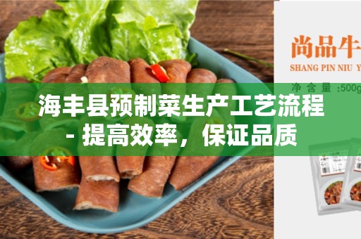 海丰县预制菜生产工艺流程- 提高效率，保证品质