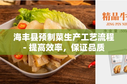 海丰县预制菜生产工艺流程- 提高效率，保证品质
