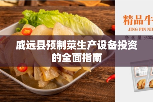 威远县预制菜生产设备投资的全面指南