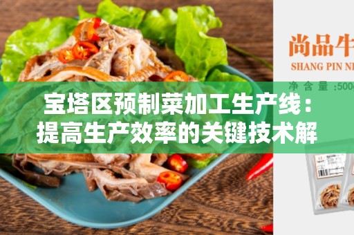 宝塔区预制菜加工生产线：提高生产效率的关键技术解析