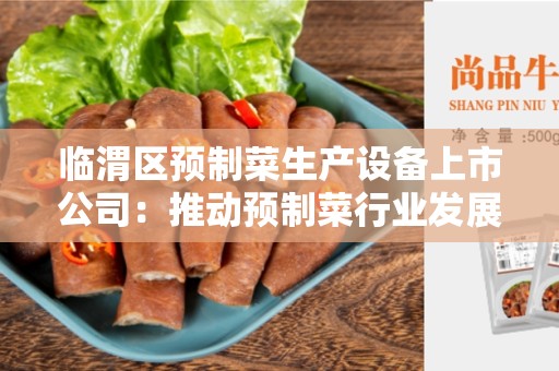 临渭区预制菜生产设备上市公司：推动预制菜行业发展的关键力量