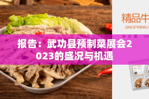 报告：武功县预制菜展会2023的盛况与机遇