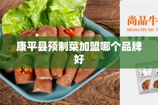 康平县预制菜加盟哪个品牌好