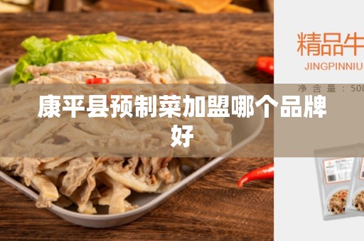 康平县预制菜加盟哪个品牌好