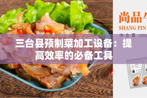三台县预制菜加工设备：提高效率的必备工具